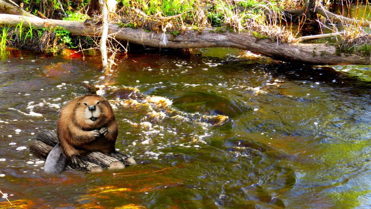 Майская река Турёнка. Люблю эту маленькую речку... смотреть онлайн
