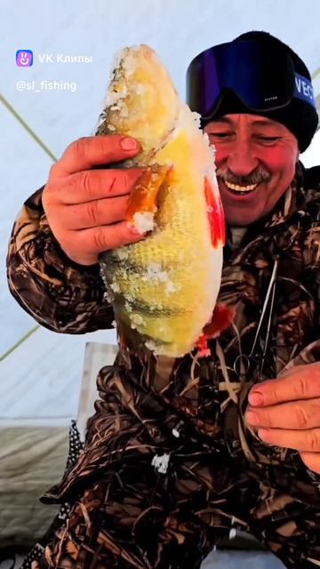 окунь на мормышку... 🐟 смотреть онлайн