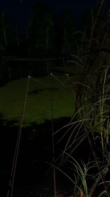 Скоро ли выловим карпа на остроге #рр4 смотреть онлайн