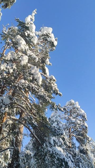 26 Января 2026 смотреть онлайн