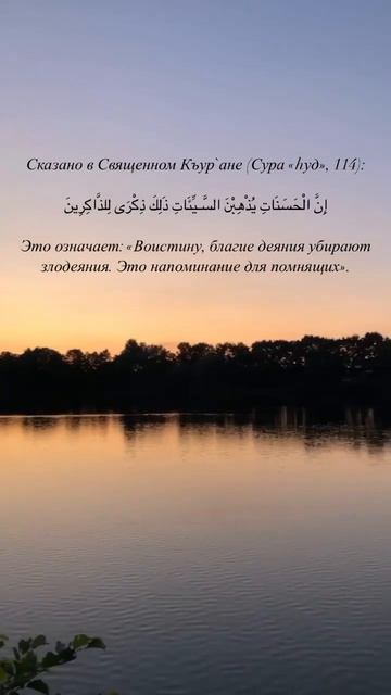 Сура hyд, аят 114. Шейх Шамиль аш-Шафи'ий. смотреть онлайн
