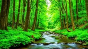 Спокойная музыка для работы. Фоновая музыка для работы. Наслаждайтесь работая. Отдыхайте работая.