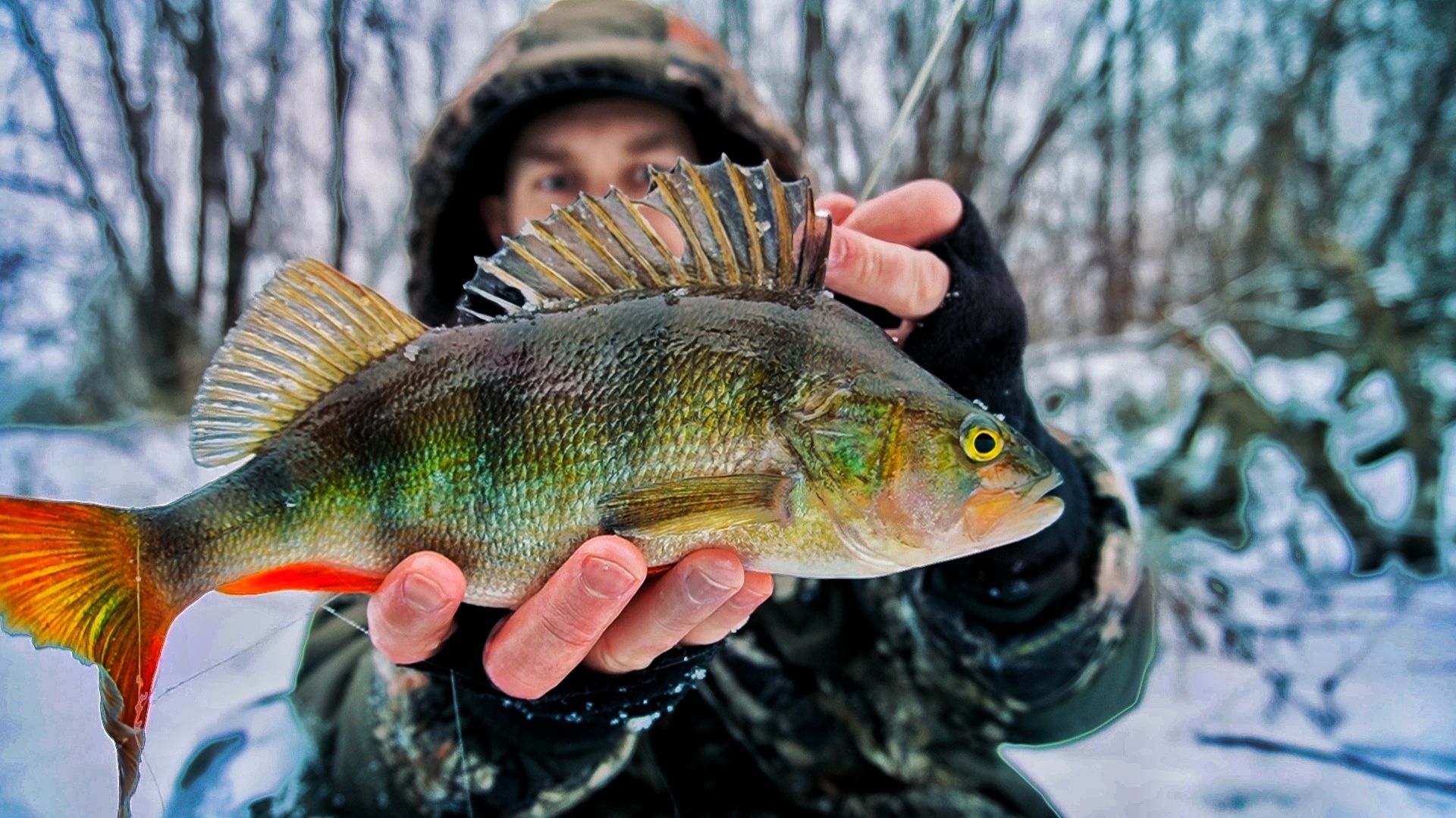 ПОЛГОДА СПУСТЯ НА ТАЁЖНУЮ РЕКУ. ТЯЖЁЛАЯ РЫБАЛКА В ГЛУХОЗИМЬЕ. смотреть онлайн