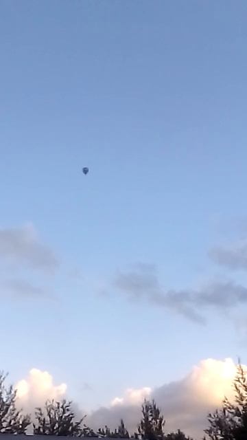 VID_2025-08-17-19-29-16-921.mp4 смотреть онлайн