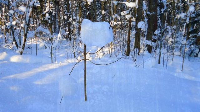 2026-01-25 ЗИМНЕЕ БЕЗМОЛВИЕ смотреть онлайн