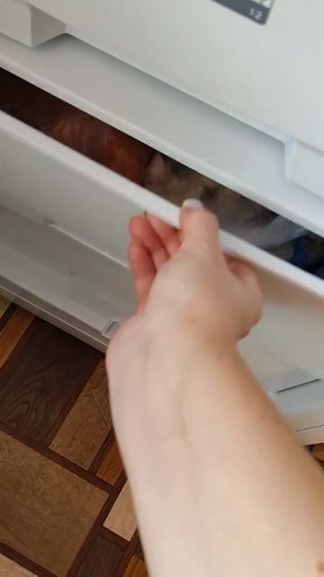 вчера было именно так 😁 смотреть онлайн