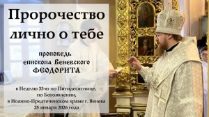 "Пророчество лично о тебе". Епископ Венёвский Феодорит.