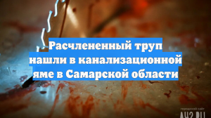 Расчлененный труп нашли в канализационной яме в Самарской области