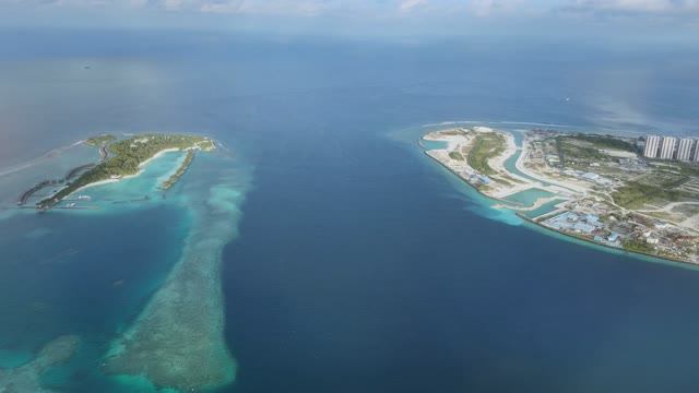 Мальдивы, отель Canareef, дайвинг с акулами и скатами-мантами смотреть онлайн