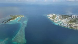 Мальдивы, отель Canareef, дайвинг с акулами и скатами-мантами