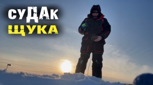 Судаки и щука долбили раттлин с удовольствием