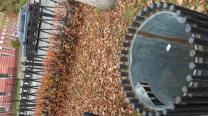 №865 Комсомольский проспект. 11 октября 2025 г., 15:11:54 VID_20251011_151148204