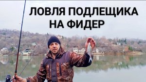 Рыбалка зимой. Подлещик на фидер.