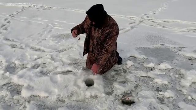 На Рыбалку, для души! смотреть онлайн