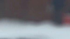 Шерхан в шоке Что творится В детстве не наигрались 24 01 2026г