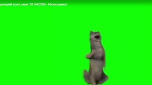 мем танцующий волк