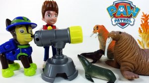 Мультики с Игрушками Щенячий Патруль и Морж. Развивающие мультики для детей.