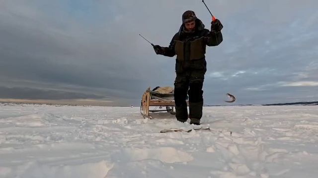 Ловили корюшку (зубарь) на блесна Ариана, Богдановская, Лира и Эридан от Mr. Musurok смотреть онлайн