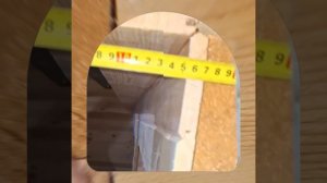 1000046951.mp4 (Собака наблюдает за устройством лестницы на 2 этаж в доме А-фрейм)