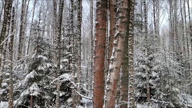 25 января - Что приготовили звезды вашему знаку зодиака_ смотреть онлайн