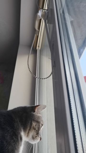 VID_20260125_160112.mp4 смотреть онлайн