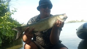 Рыбалка на Волге Жерех.