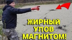 Улов МАГНИТОМ в лесном БОЛОТЕ Порадовал нас с Батей, УДАЧНЫЙ Заброс и Жирная НАХОДКА!