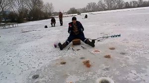 Курская. Намокли на морозе под дождём.