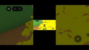 новая программа