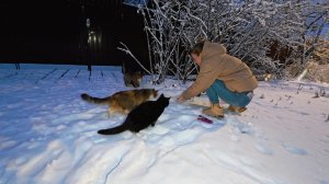 Сергей и Алиса | История двух сердец | Дачные видеозарисовки | День Добрых Дел | 28.12.2025