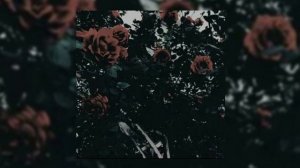 классные песни ( speed up )