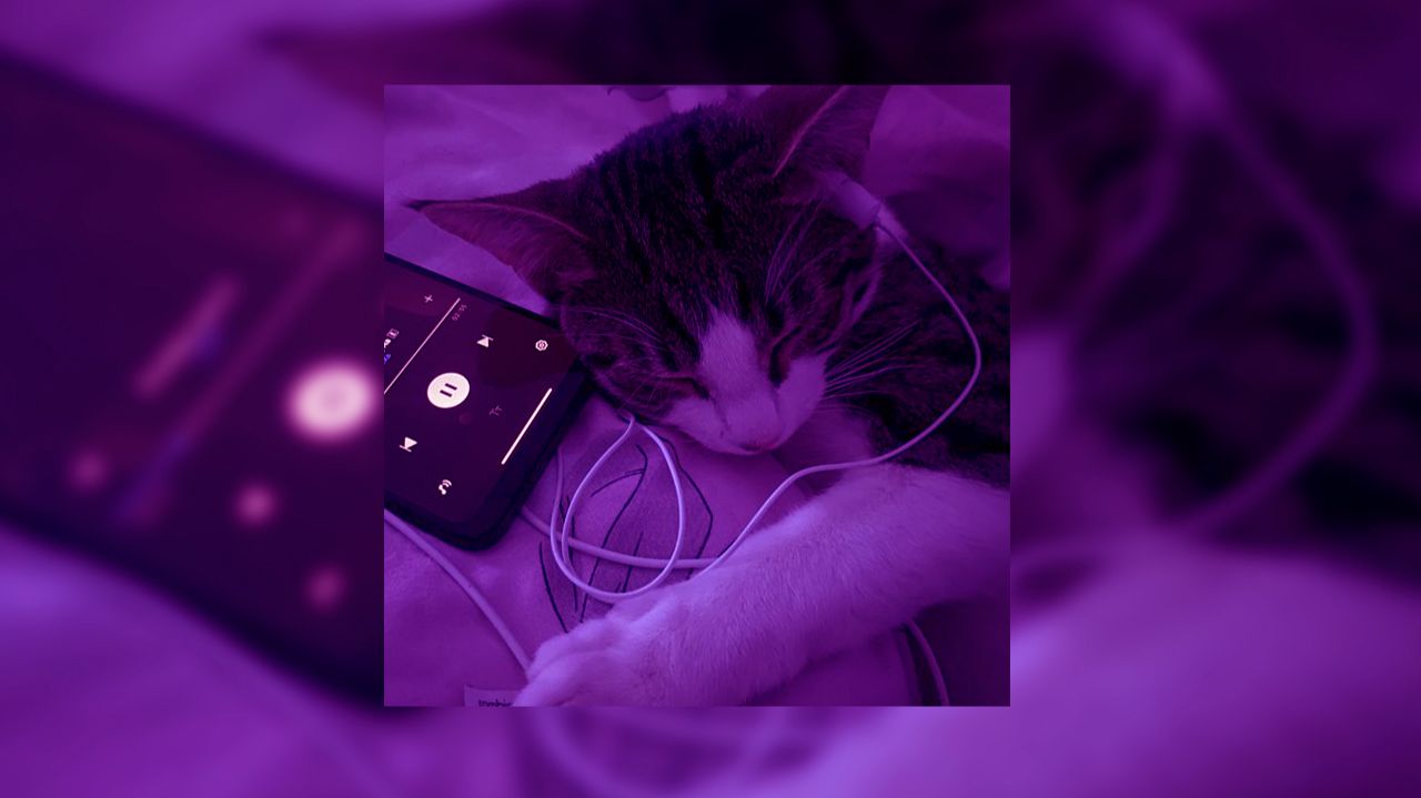 ☆плейлист популярных песен из тик тока 2026 года☆ смотреть онлайн