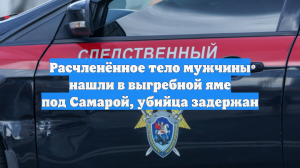 Расчленённое тело мужчины нашли в выгребной яме под Самарой, убийца задержан