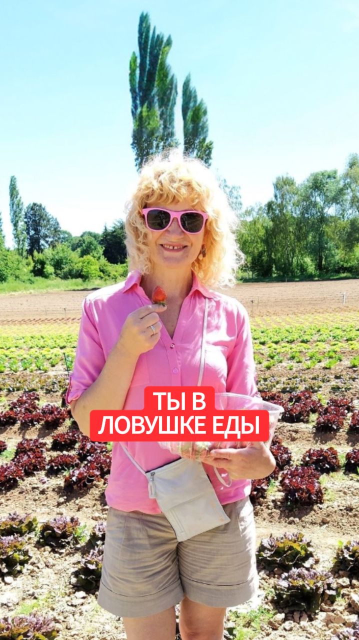 Хватит считать калории! Как перестать быть пленником еды и стать хозяйкой своей фигуры смотреть онлайн