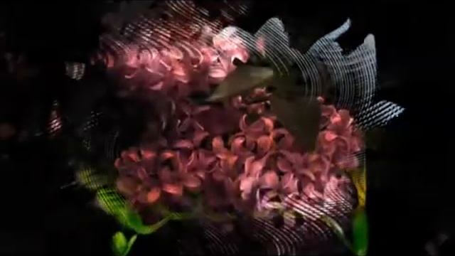 СТРАНА ЛЮБВИ смотреть онлайн