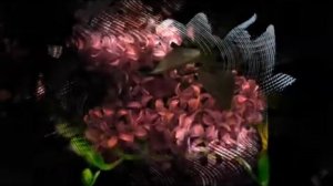 СТРАНА ЛЮБВИ