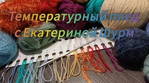 СП "Температурный плед с Екатериной Шурм"❤️ Январь🌲❄️ Участник №19