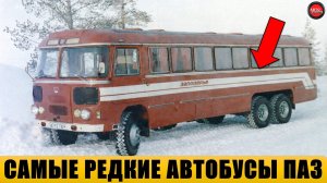 9 самых редких автобусов ПАЗ, о которых почти никто не знает.