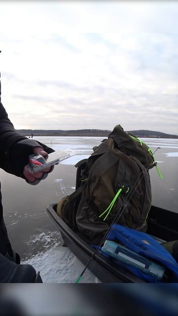 ЗИМНЯЯ РЫБАЛКА. #shorts #рыбалка #fishing #рыба #fish #эдвардкосичка #природа #nature #отдых #rest смотреть онлайн