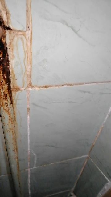 жильцу виднее как нужно делать смотреть онлайн