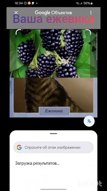 ваше наше. ( делала давно) смотреть онлайн