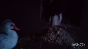 Вот молодец то👌😍//все по местам//