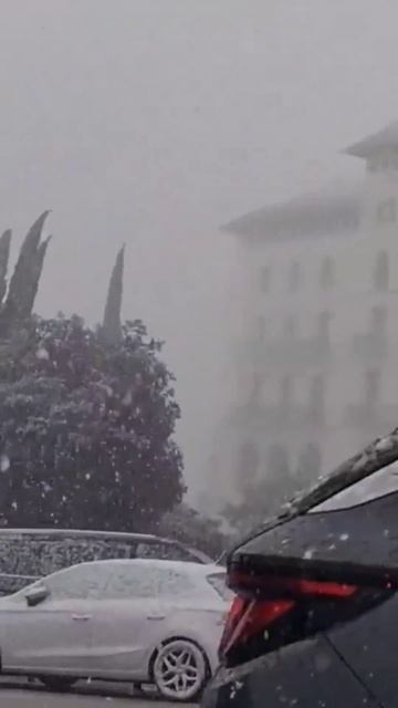 Снегопад в Барселоне (Испания, 24.01.2026) смотреть онлайн
