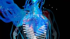 Сайт Гаряев-Матрицы.РФ АРХИВ CD Единственная Матрица Гаряева от Боли под Лопаткой ☀️ Квантовое Исцел