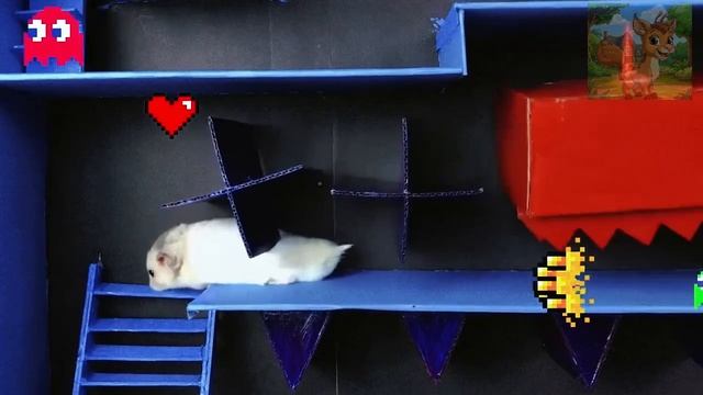 Маленький хомячок строит мир из блоков! Неожиданные творения! смотреть онлайн