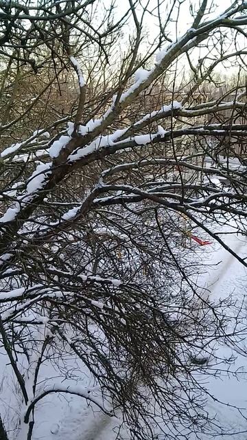 -14. Вечер 25 января 2026 года смотреть онлайн