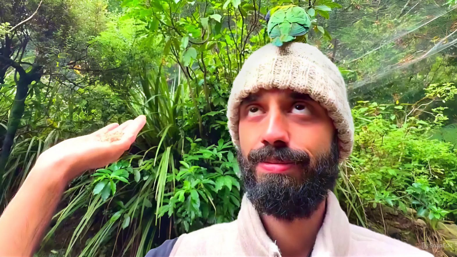 ЭФИР про Личность, которая Никогда Не будет Эффективной, пока не Избавиться от.. Анар Дримс смотреть онлайн