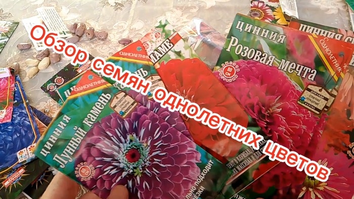 Обзор семян однолетних цветов смотреть онлайн