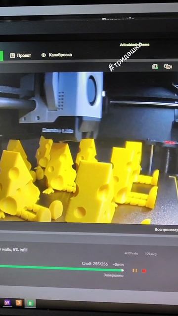 печатаю сыр 3D печать тридэшки