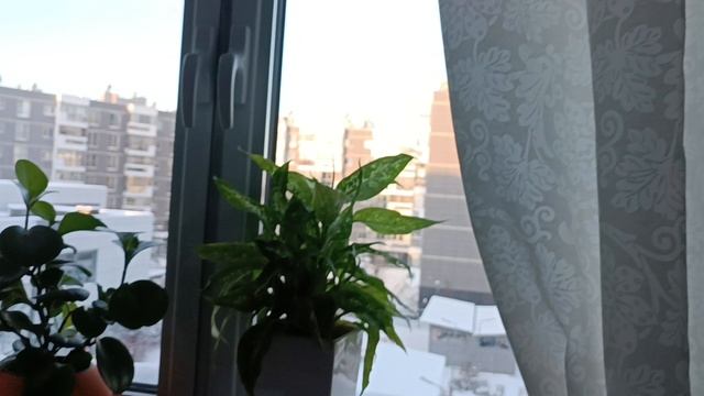 Новый год опять) смотреть онлайн